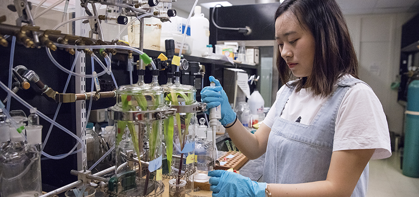 HWS Grads Publish Chemical Ecology Research