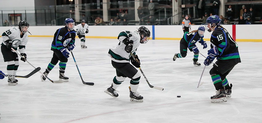 Herons Overpower Cougars