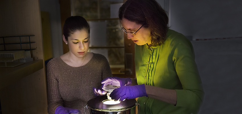 Biochem Cancer Research Offers Unique Scientific Education