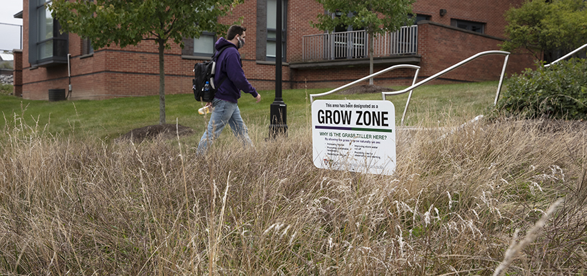 Grow Zones Established on Campus