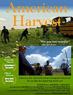 American Harvest